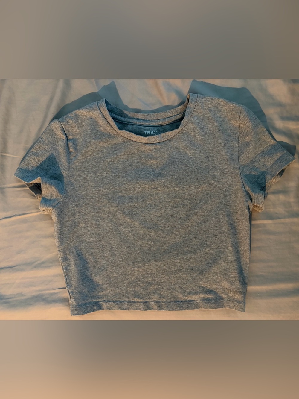 Aritzia Heather Gray Cropped Tee